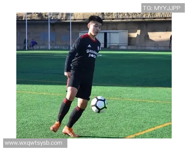 2017中国足球明星球员盘点与赛季表现分析